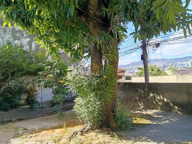 Foto 22