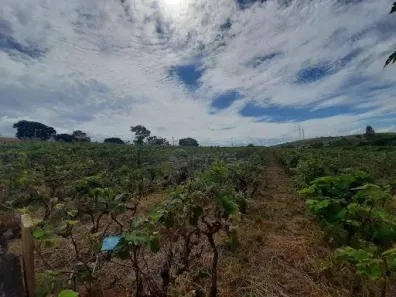 Lote/Terreno à venda, 34885m² no Bairro do Poste, Jundiaí