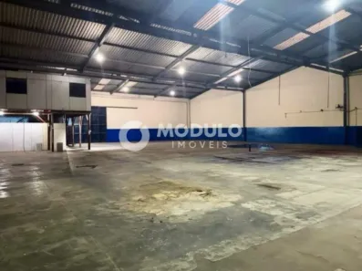 Galpão/Depósito/Armazém para alugar, 900m² no Distrito Industrial, Uberlândia