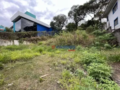 Lote/Terreno para venda ou aluguel, 1319m² no Parque São George, Cotia