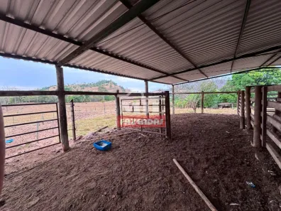 Fazenda/Sítio à venda, 1m² no Centro, Rubiataba