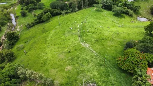Fazenda/Sítio com 2 Quartos à venda, 80900m² no Pau Queimado, Piracicaba