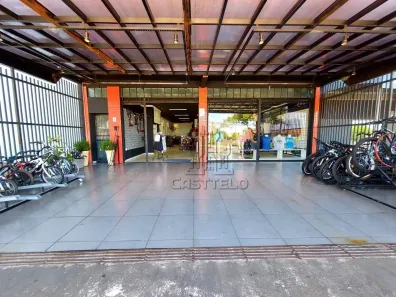 Imóvel Comercial com 4 Quartos à venda, 400m² no Conjunto Cafezal 1, Londrina