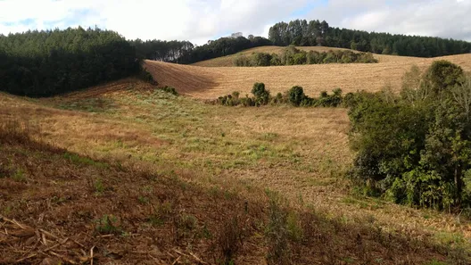 Fazenda/Sítio à venda, 21500m² no , Campo Alegre