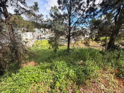 Lote/Terreno à venda, 637m² no Pedra Branca, Palhoça