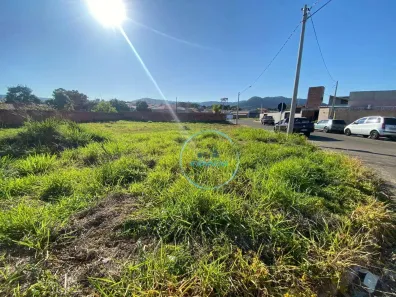 Lote/Terreno à venda, 320m² no Novo Horizonte, São Pedro
