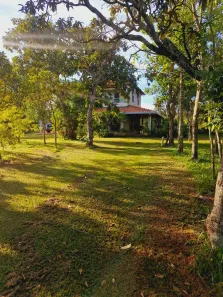 Fazenda/Sítio com 4 Quartos à venda, 316m² no Chácara dos Poderes, Campo Grande