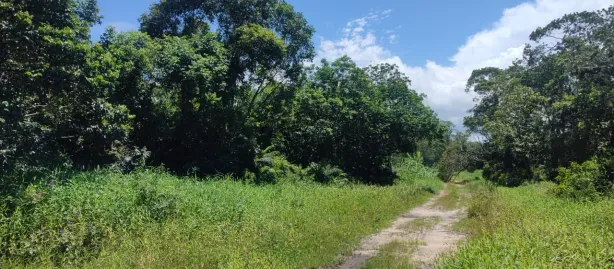 Lote/Terreno à venda, 384m² no Bamerindus, Itapoá