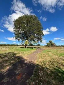 Fazenda/Sítio à venda, 126m² no Morada do Sol, Uberlândia
