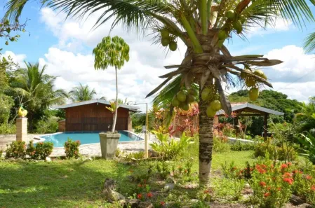 Fazenda/Sítio com 4 Quartos à venda, 40000m² no , Conde