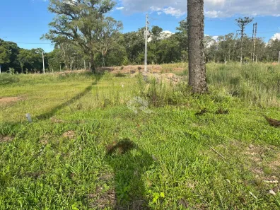 Lote/Terreno à venda, 445m² no Belvedere, Farroupilha