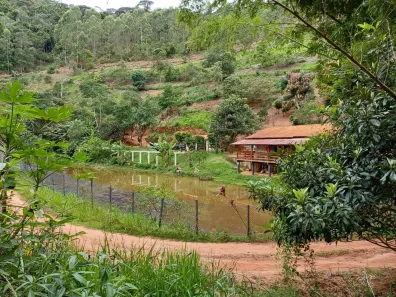 Fazenda/Sítio com 3 Quartos à venda, 14484m² no Domingos Martins, Domingos Martins