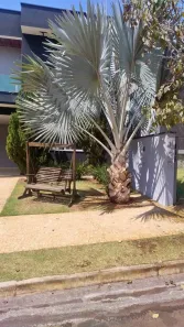 Casa de Condomínio com 3 Quartos à venda, 206m² no Jardim Valencia, Ribeirão Preto