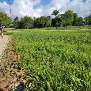 Lote/Terreno à venda, 619m² no Aldeia dos Camarás, Camaragibe