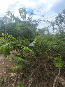 Lote/Terreno à venda, 200m² no Santa Maria, Teresina