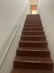 Apartamento com 2 Quartos para alugar, 337m² no Vila Guilherme, São Paulo