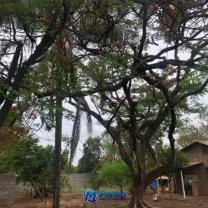 com 1 Quarto à venda, 1000m² no Estância Santa Maria (Zona Rural), São José do Rio Preto