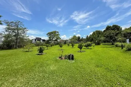 Fazenda/Sítio com 15 Quartos à venda, 33000m² no Ipanema das Pedras, Sorocaba