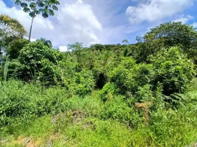 Fazenda/Sítio à venda, 310000m² no Área Rural de Biguaçu, Biguaçu