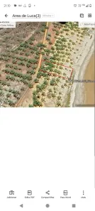 Lote/Terreno à venda, 1260m² no , Mata de São João