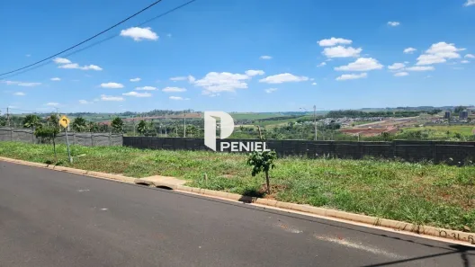 Lote/Terreno à venda, 250m² no Alto da Boa Vista, Ribeirão Preto