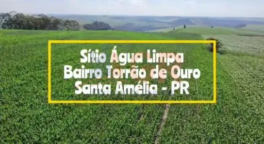 Fazenda/Sítio à venda, 242000m² no Vila Galdino, Santa Amélia