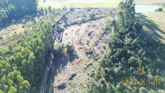 Fazenda/Sítio à venda, 20000m² no , Triunfo