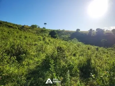 Fazenda/Sítio à venda, 72000m² no , Xexéu