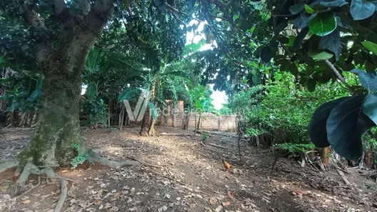 Lote/Terreno à venda, 375m² no Jardim Celani, Valinhos