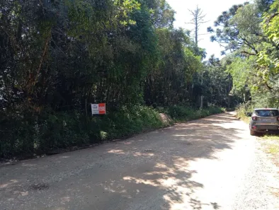 Fazenda/Sítio à venda, 7200m² no Quatro Barras, Quatro Barras