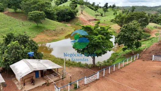 Fazenda/Sítio com 4 Quartos à venda, 200m² no , Santa Cruz de Goiás