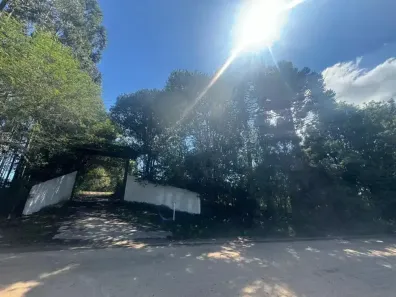 Fazenda/Sítio à venda, 5669316m² no Borda do Campo, São José dos Pinhais
