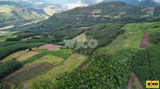 Lote/Terreno à venda, 5000m² no , Picada Café