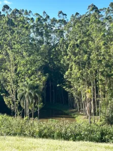 Lote/Terreno à venda, 500m² no Centro (Caucaia do Alto), Cotia