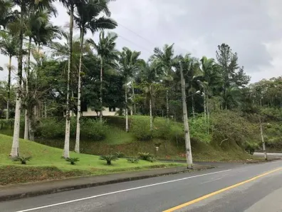 Lote/Terreno à venda, 223m² no Chico de Paulo, Jaraguá do Sul