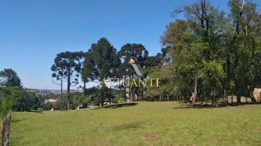 Lote/Terreno à venda, 4052m² no De Zorzi, Caxias do Sul