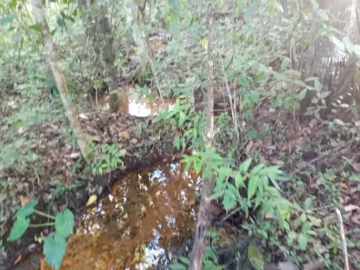 Fazenda/Sítio com 3 Quartos à venda, 21000m² no Jardim Lago Azul, Novo Gama