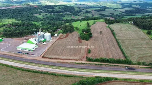 Fazenda/Sítio à venda, 242000m² no Santa Maria, Santa Tereza do Oeste