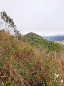 Fazenda/Sítio com 1 Quarto à venda, 2000000m² no Zona Rural, Adrianópolis