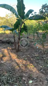 Fazenda/Sítio à venda, 5597m² no Zona Rural Hidrolandia, Hidrolândia