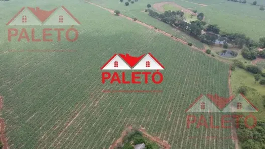 Fazenda/Sítio com 1 Quarto à venda, 242000m² no Turvo, Cesário Lange