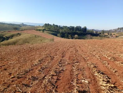 Lote/Terreno à venda, 20000m² no , São Luiz do Paraitinga