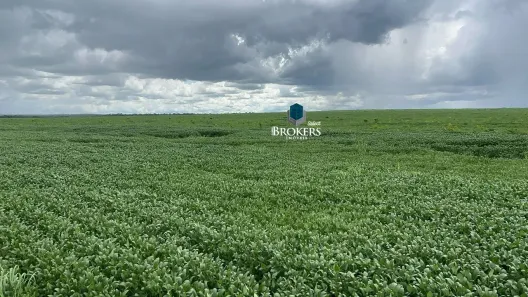 Fazenda/Sítio com 3 Quartos à venda, 1026m² no Setor Central, São Valério da Natividade