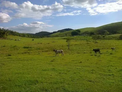 Fazenda/Sítio com 2 Quartos à venda, 1110000m² no Zona Rural, Rio Bonito