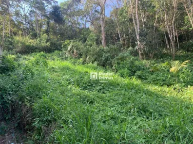 Lote/Terreno à venda, 505m² no Loteamento Sitio Jacina, Nova Friburgo