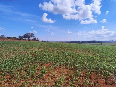 Fazenda/Sítio à venda, 57000m² no Arapoanga, Brasília