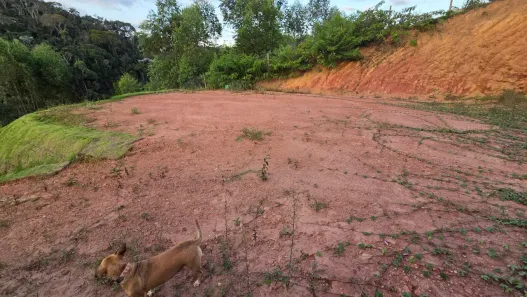 Lote/Terreno à venda, 535m² no Santa Teresa, Santa Teresa