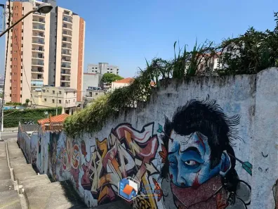 Casa com 6 Quartos à venda, 815m² no Vila Maria Alta, São Paulo