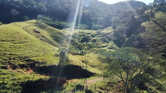 Fazenda/Sítio à venda, 117000m² no Centro (São Francisco Xavier), São José dos Campos