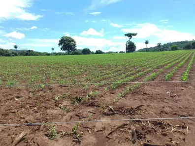 Fazenda/Sítio com 3 Quartos à venda, 200m² no Setor Central, Formoso